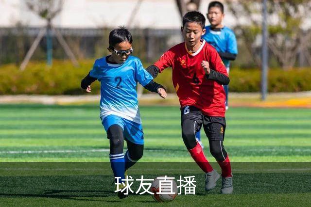 关于球友直播